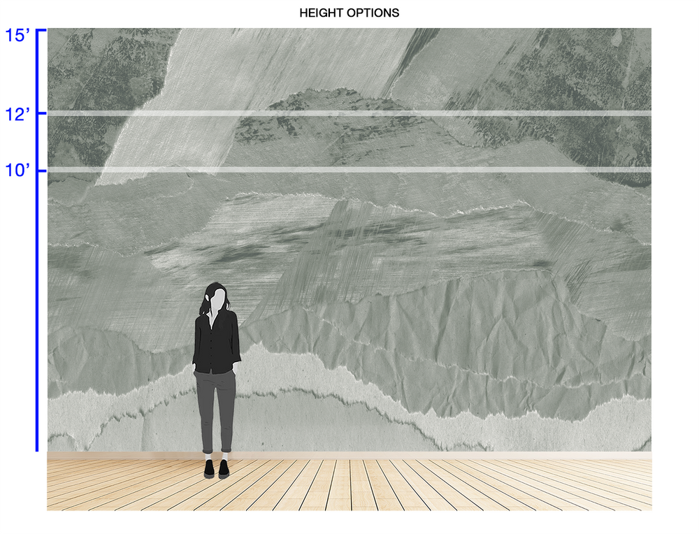 Big Basin in Willow - Wallpaper Mural - Quick Ship