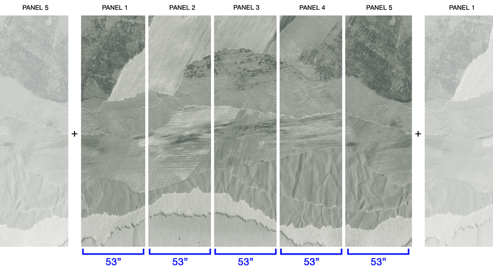 Big Basin in Willow - Wallpaper Mural - Quick Ship