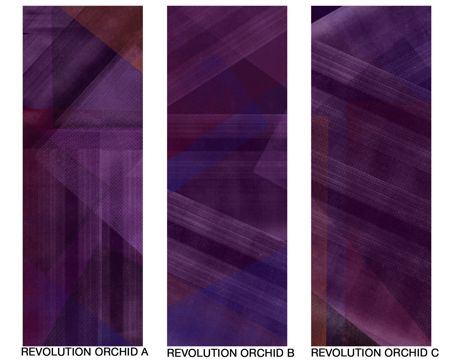 Image of Revolution Orchid - Mix and Match Wallpaper - Quick Ship