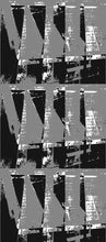 Load image into Gallery viewer, RADICAL IN NIGHT PANEL A