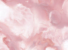 Load image into Gallery viewer, Blushing Rose - Quick Ship Mural