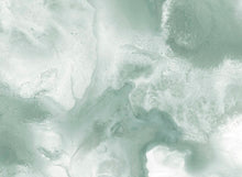 Load image into Gallery viewer, Agave - Quick Ship Mural