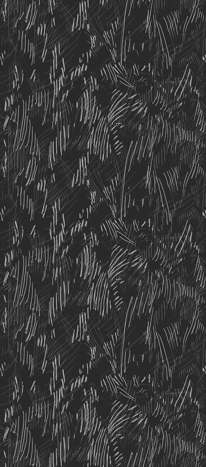 Image of Sylvan in Black & White