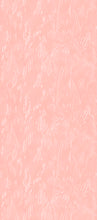 Load image into Gallery viewer, SYLVAN IN CORAL