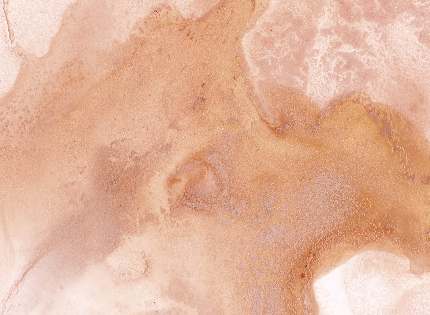 Clay - Quick Ship Wallpaper Mural